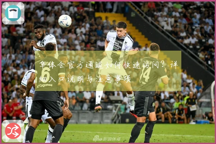华体会官方通道如何快速访问？详细入口说明与注意事项